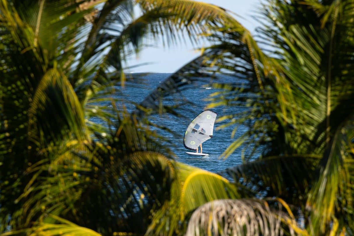 Duotone Unit 2027 Windsurfbrett weiß auf blauem Wasser, umrahmt von grünen Palmenblättern, Draufsicht
