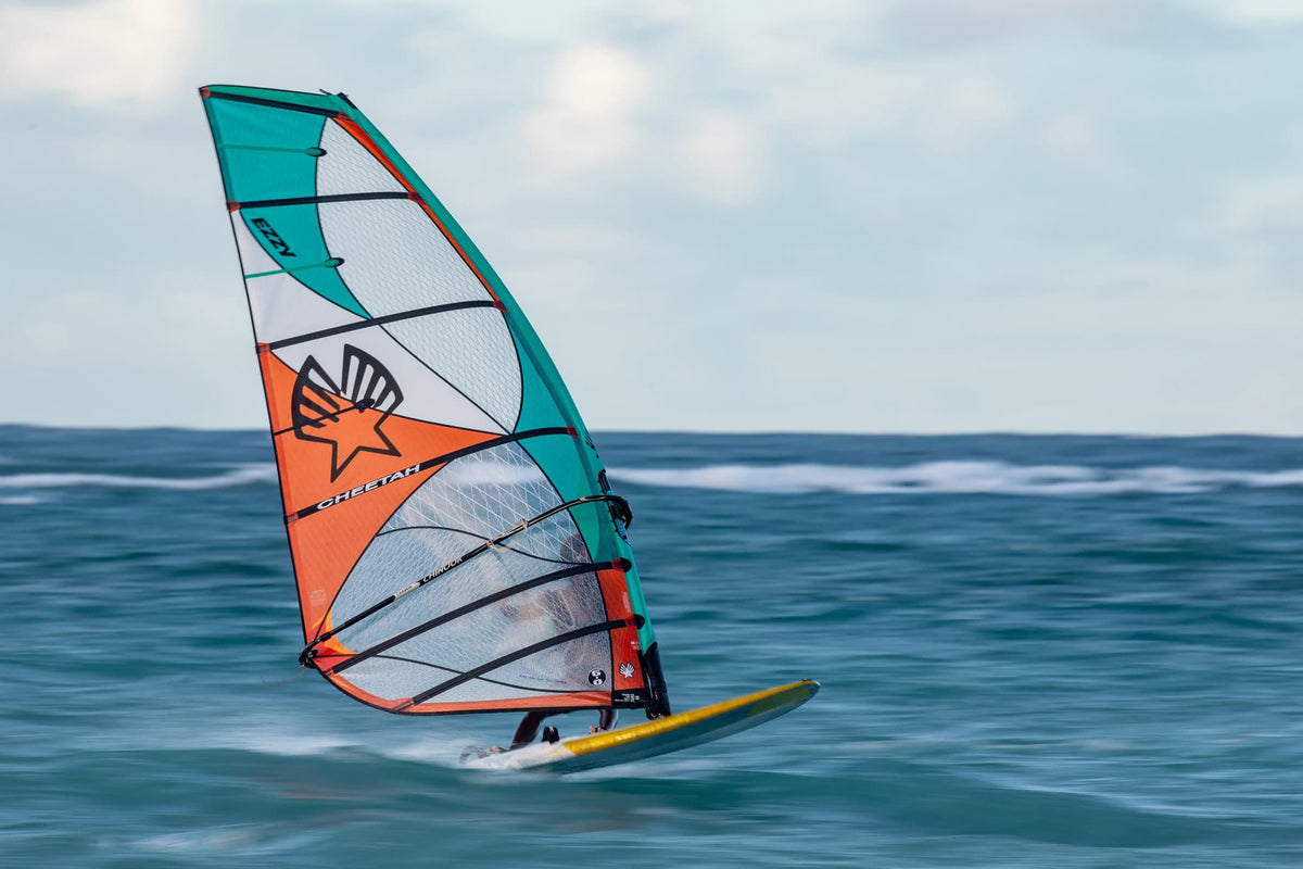 Ezzy Cheetah Sail 2026