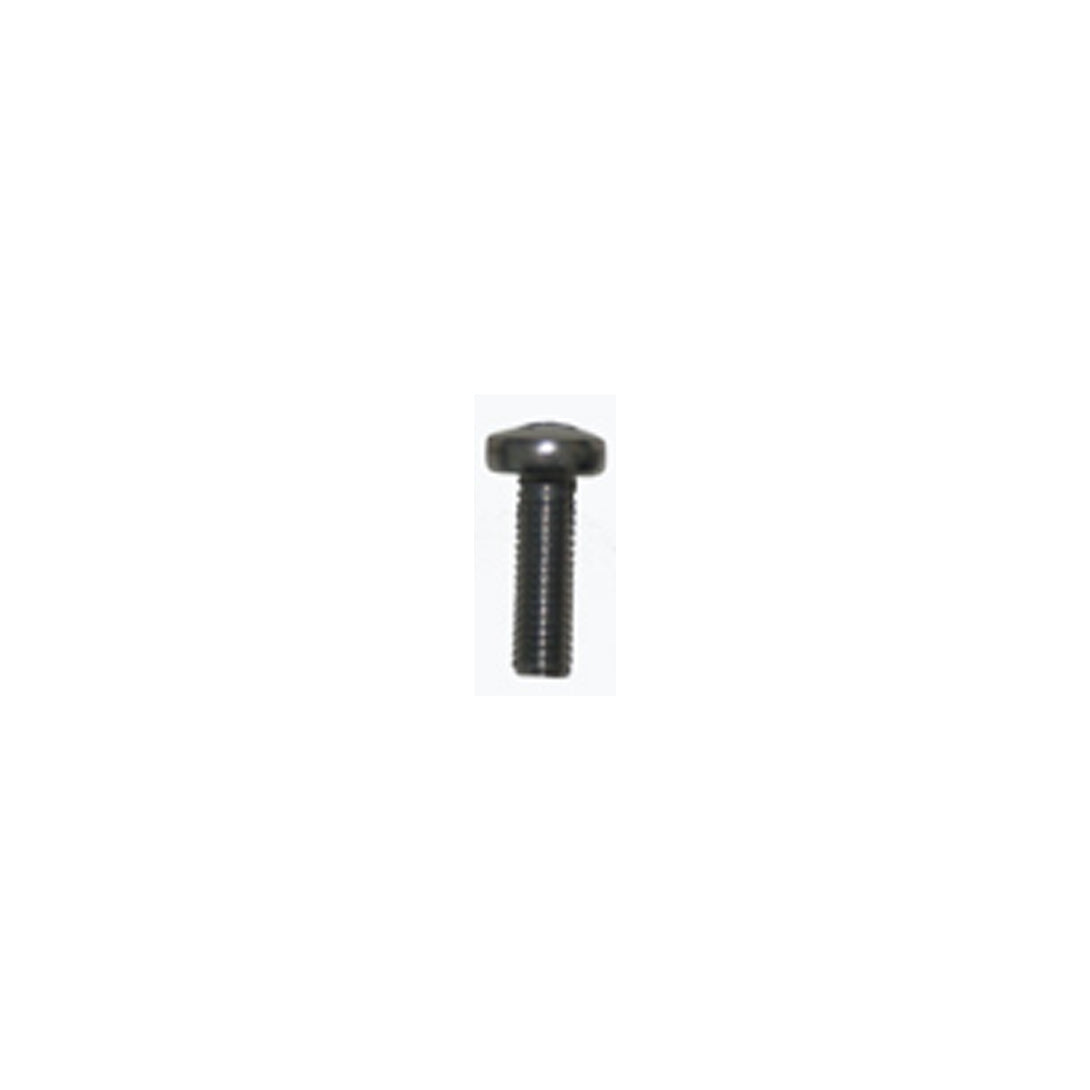Project 5 Screw V2A M6