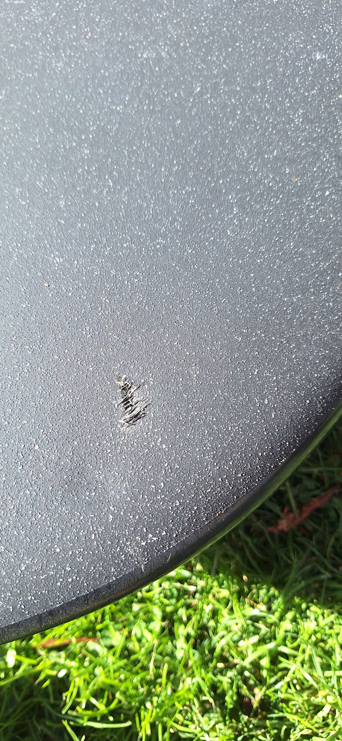 F2 SX Silberpfeil 69 111l (gebraucht)