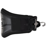 Kite Waist Harness Vector
