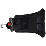 Kite Waist Harness Vector