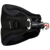 Windsurf Waist Harness Envy