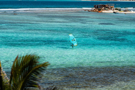 Duotone Unit D/LAB 2027 Kite in türkis auf tropischem Meer, Lagune mit kristallklarem Wasser und Palme im Vordergrund