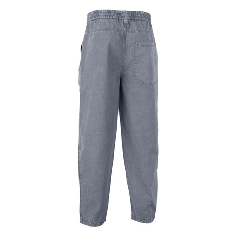 ION Pants HD Cotton 2026 in Grau, Baumwolle, Rückansicht, lockere Passform mit Taschen
