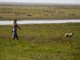 ION Tee Graphic 2026 graugrünes T-Shirt, getragen von Person in Landschaft mit Hund, Frontalansicht