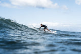 ION SUP Leash Core Coiled Ankle 2026, schwarze Spiralleine, am Knöchel getragen beim SUP-Surfen im Wasser