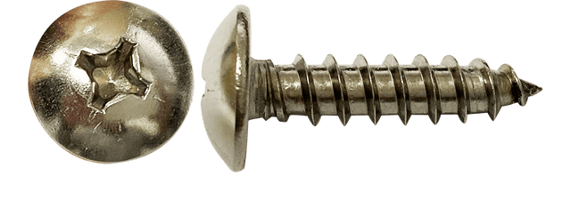 Starboard SCREW M6 X 25PACK OF 10 2027