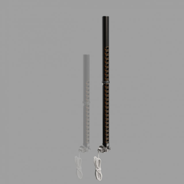 Patrik X-Tension Carbon RDM Mast in Schwarz und Grau, Carbon Material, mit Universalgelenk, Frontansicht zweier Varianten