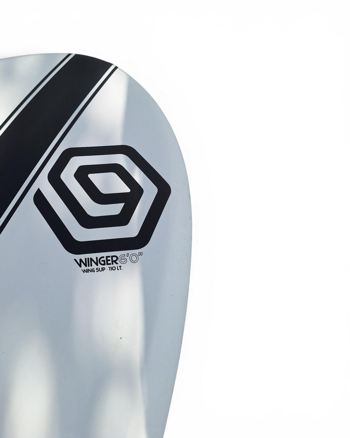 I-99 Winger 6.0 2021 (gebraucht)