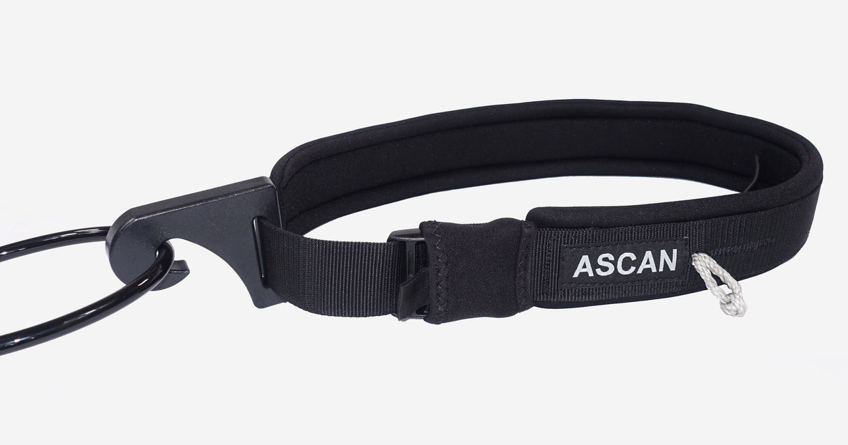 Ascan Wing & Bord Belt
