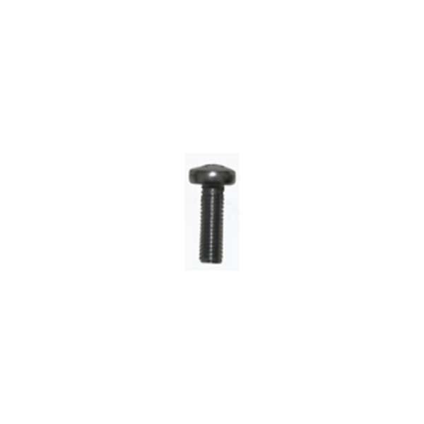 Project 5 Screw V2A M6