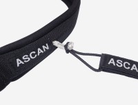 Preview: Ascan Wing & Bord Belt Preview: Ascan Wing & Bord Belt